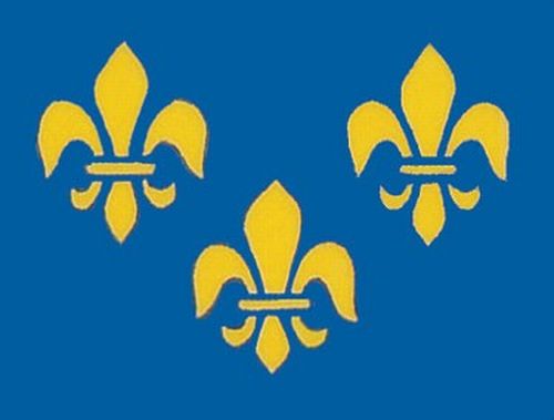 Valprin 4x6 Inch French Fleur De Lis Stick Flag ( 12 pack )